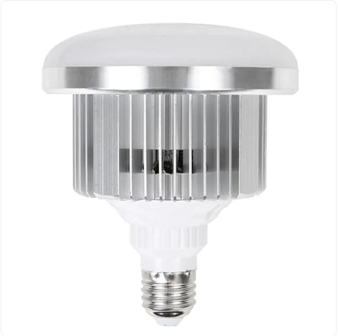 LED Fill Light